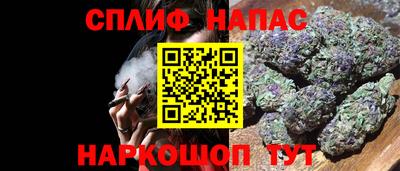 твердый Бийск