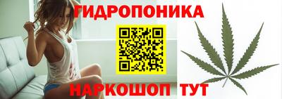 крисы Беслан