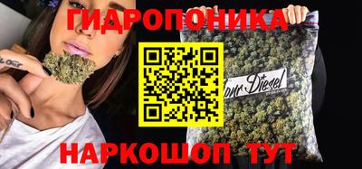 твердый Бийск
