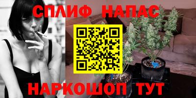 твердый Бийск