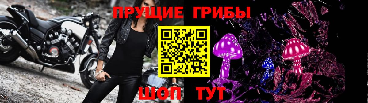 Псилоцибиновые грибы MAGIC MUSHROOMS  Псилоцибиновые грибы Magic Shrooms  Зерноград  Вход с VPN 